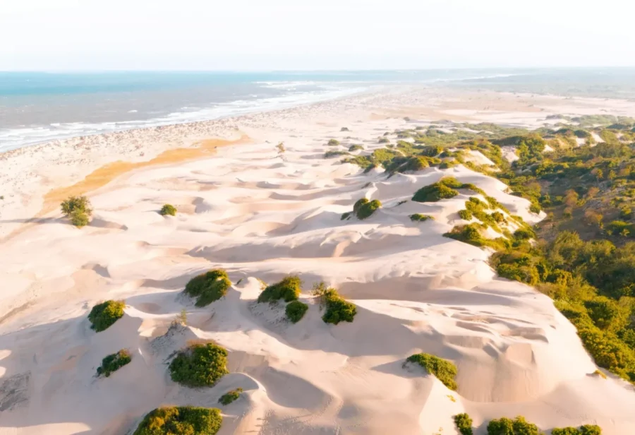 safari kenia turismo