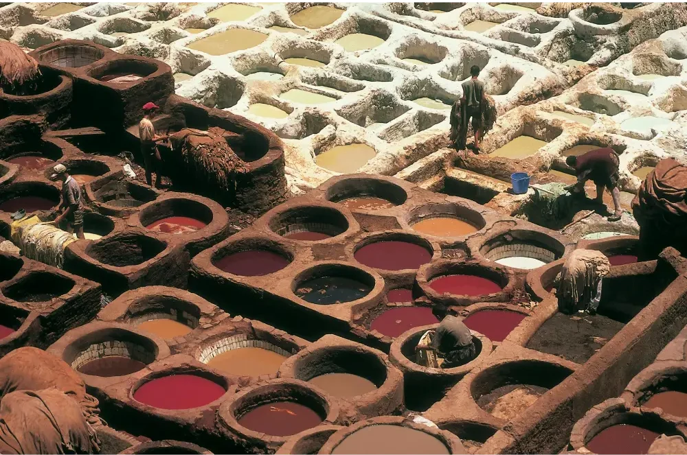 fez Curtiduría Chouwara