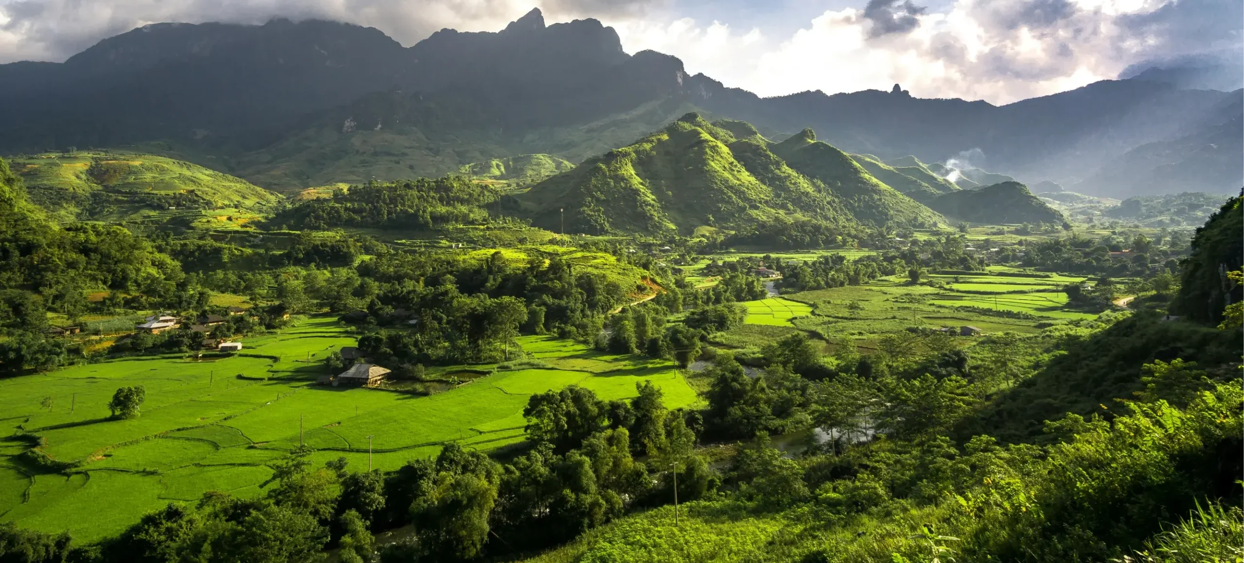 vietnam